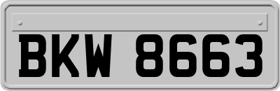 BKW8663
