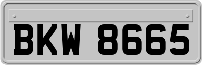 BKW8665