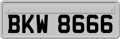 BKW8666