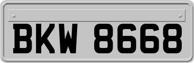 BKW8668