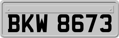BKW8673