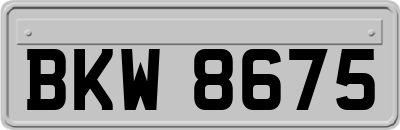 BKW8675