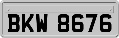 BKW8676
