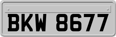 BKW8677