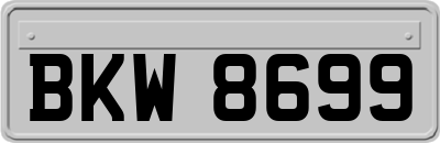 BKW8699