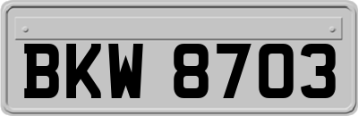 BKW8703