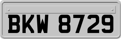 BKW8729