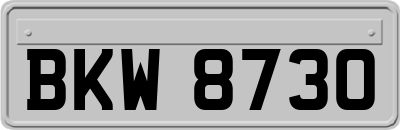 BKW8730