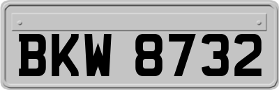 BKW8732