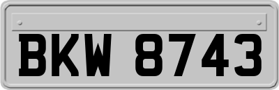 BKW8743