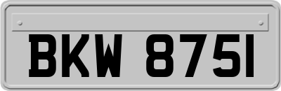 BKW8751