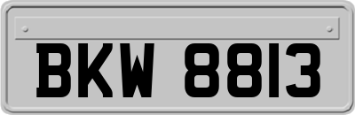 BKW8813