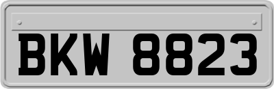 BKW8823