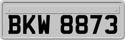 BKW8873