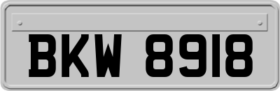 BKW8918