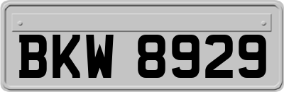 BKW8929