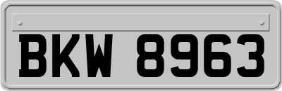 BKW8963