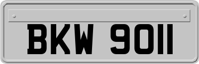 BKW9011