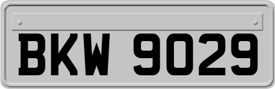 BKW9029