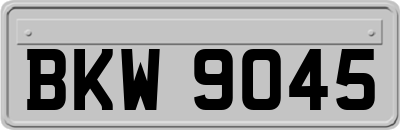 BKW9045