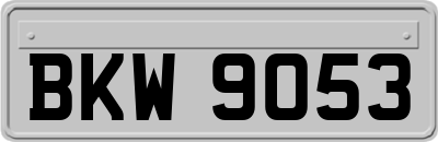 BKW9053
