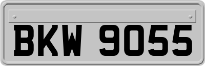 BKW9055