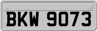 BKW9073