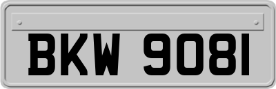BKW9081