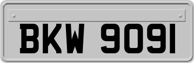 BKW9091