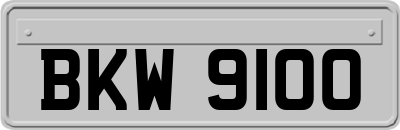 BKW9100
