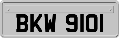 BKW9101