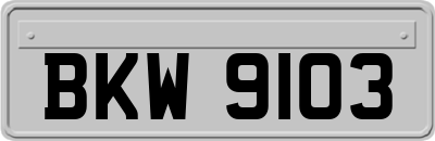 BKW9103