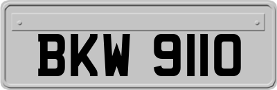 BKW9110