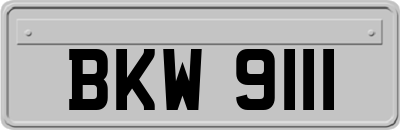 BKW9111