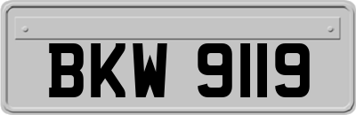 BKW9119