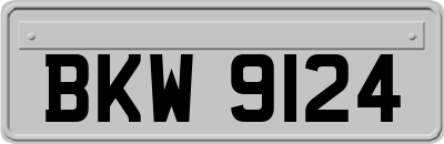 BKW9124