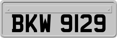 BKW9129