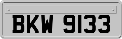 BKW9133