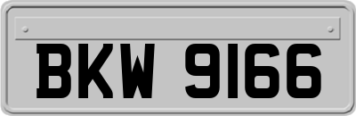 BKW9166