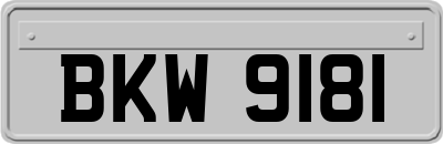 BKW9181