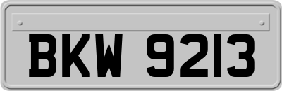BKW9213