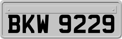 BKW9229