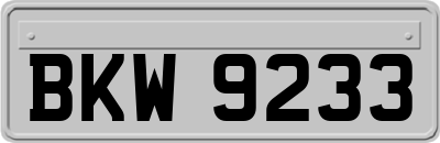 BKW9233