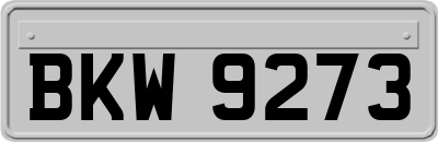 BKW9273