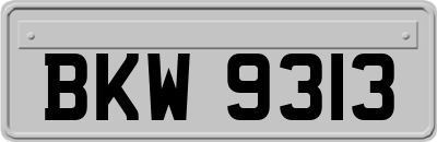 BKW9313