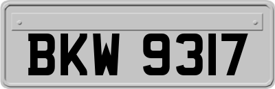BKW9317