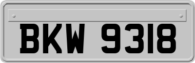 BKW9318