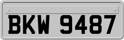 BKW9487