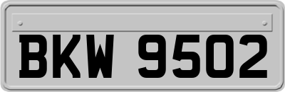 BKW9502