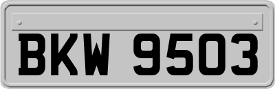 BKW9503